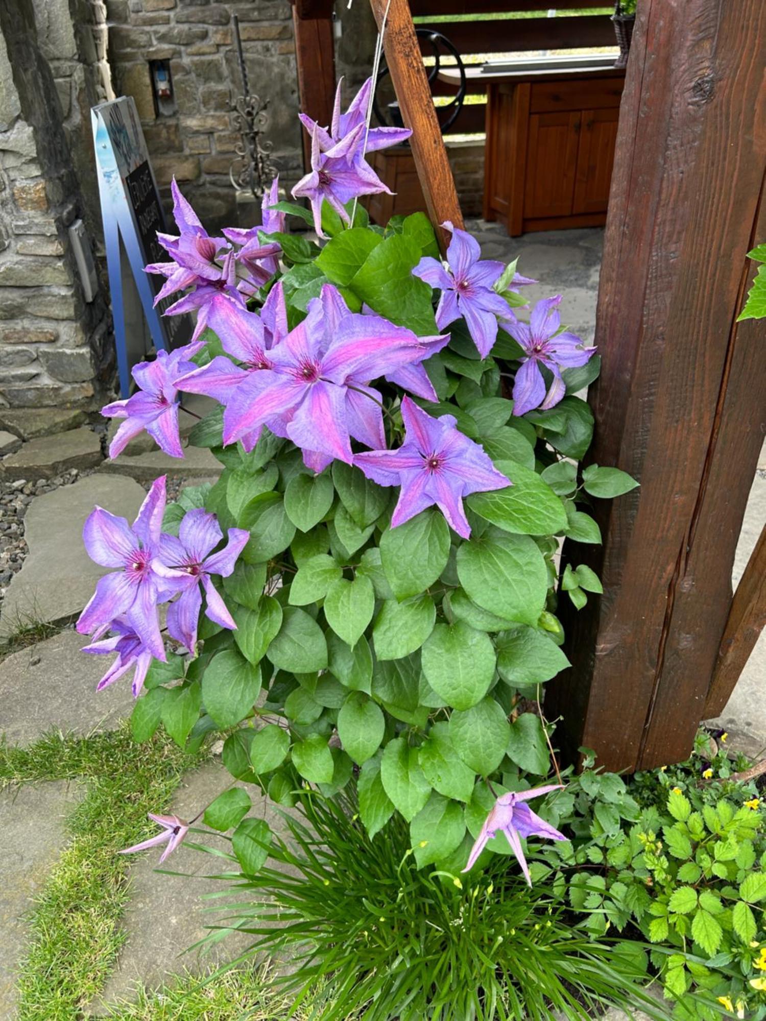 Penzion Baska Voda Cz Exterior foto